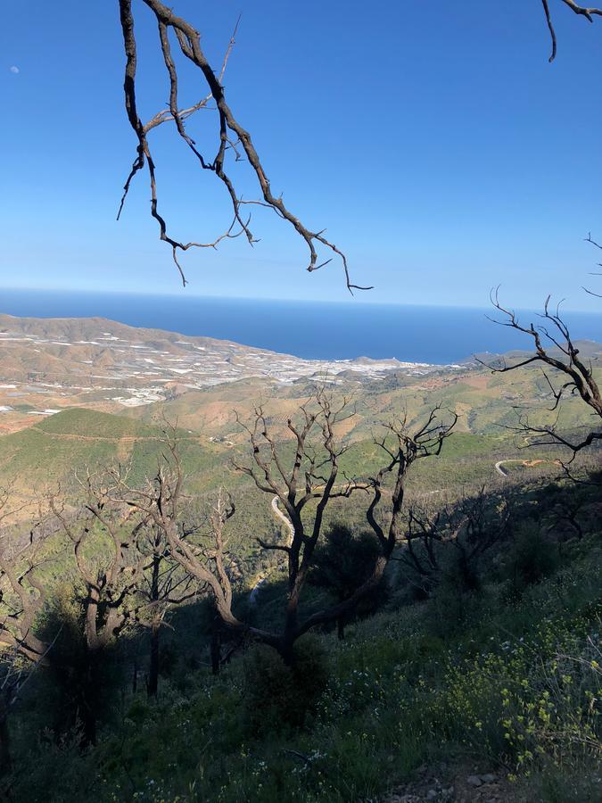 Гостьовий будинок Cortijo Sancardo Lujar Екстер'єр фото